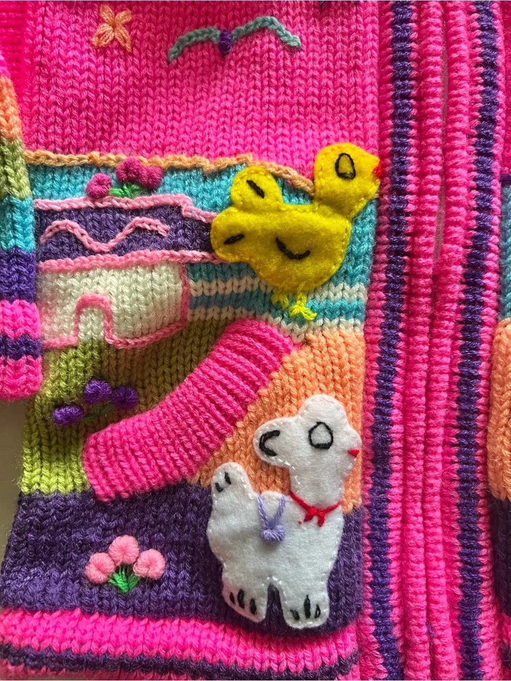 Adorable Colorful Embroidered Hoodie